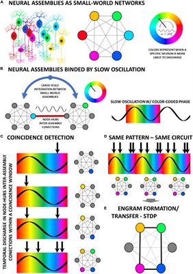 On temporal scale-free non-periodic stimulation and its mechanisms as an infinite improbability drive of the brain’s functional connectogram